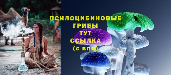 мяу мяу мука Абаза