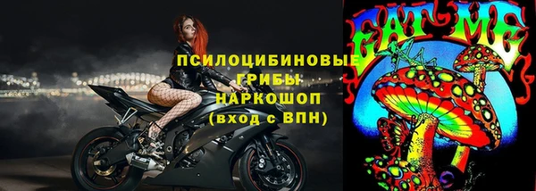 мяу мяу мука Абаза