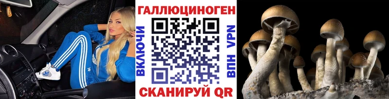 Галлюциногенные грибы мицелий  дарнет шоп  Иваново 