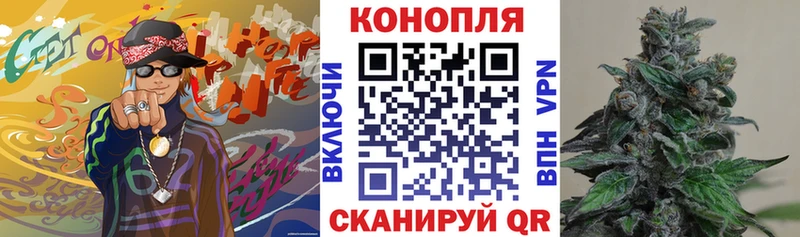 Бошки Шишки THC 21%  сайты даркнета клад  Иваново  цена наркотик 